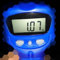 エギング釣行 その39